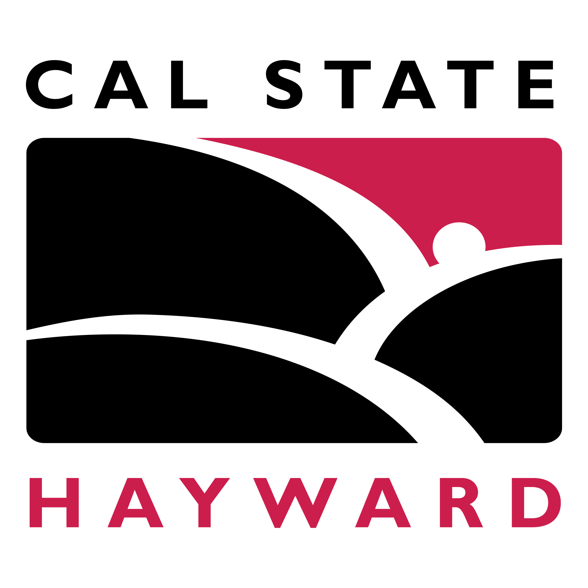 Anjana Q1S1Q1S2 Careers Testlogo